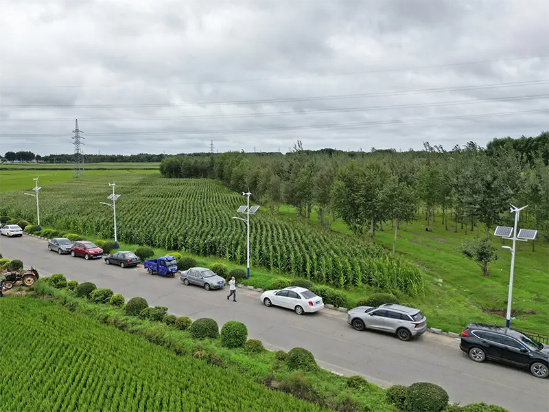 Gansu S-type 200W wind-solar hybrid street light